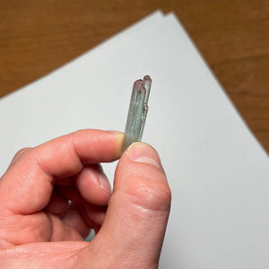 24.03ct BiColor Tourmaline Crystal