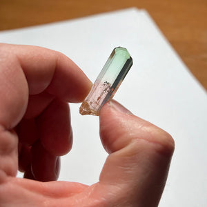Bicolor Tourmaline Crystal facet grade gem