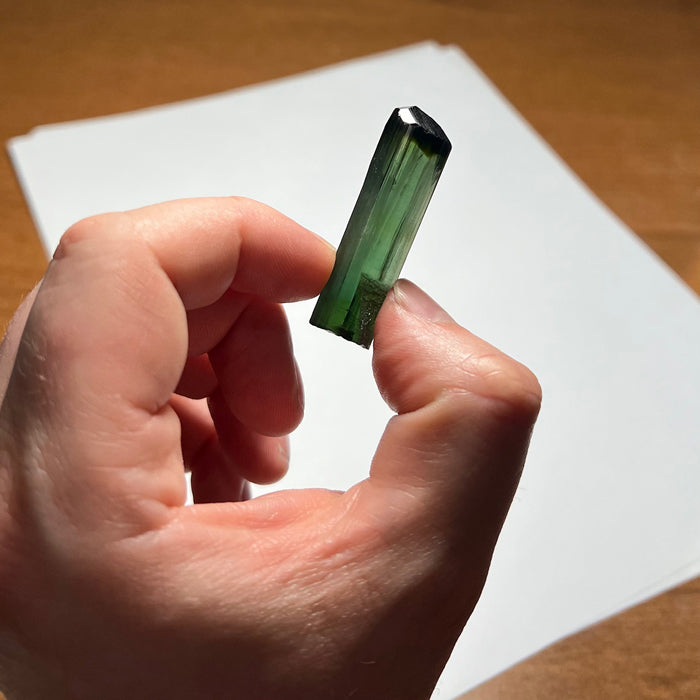 Dark green black tourmaline crystal specimens
