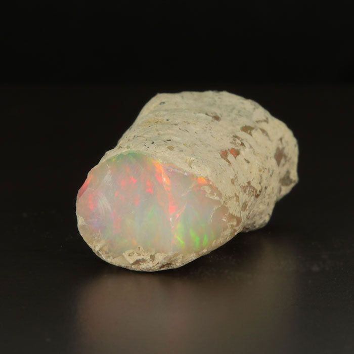 Limb Cast Opal Specimen Rough