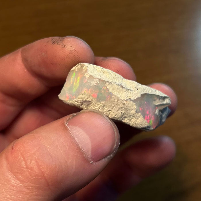 Limb Cast Opal Specimen Rough