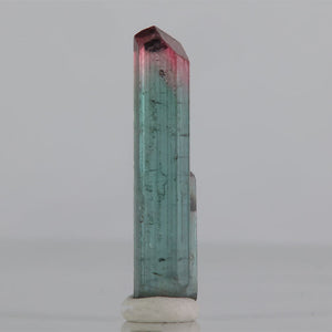 Tourmaline crystal with pink termination Brazil