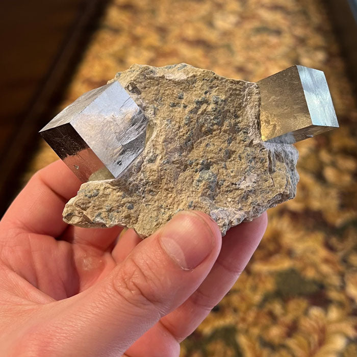 Pyrite Cubes on matrix