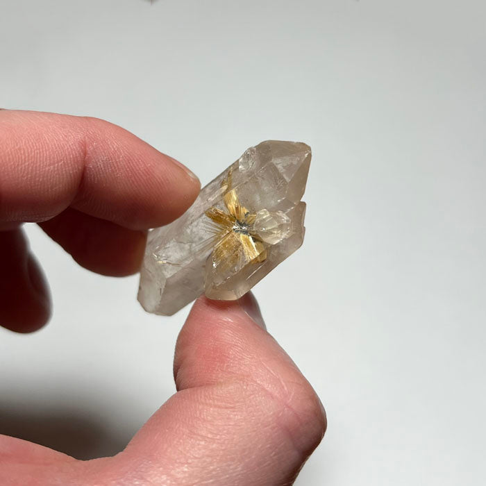 rutile crystal in quartz speicmen