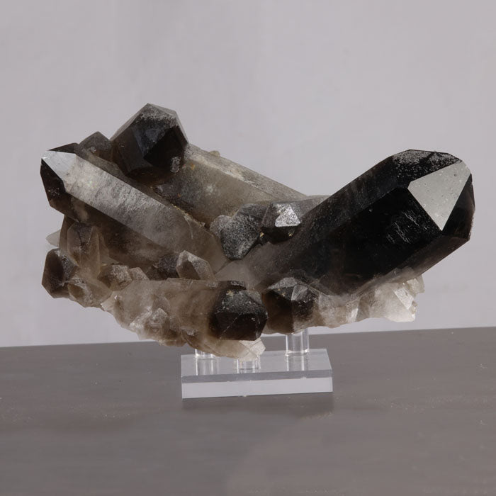 Brazil Smoky Quartz Crystal Cluster