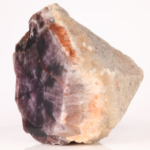 white shell trapichi amethyst crystal point