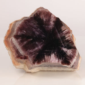 320g Costa Marques White Shell Trapiche Amethyst Crystal