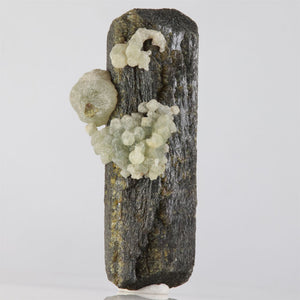 Epidote crystal with prehnite