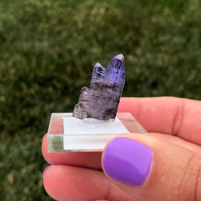 Raw Tanzanite Crystal Cluster Specimen