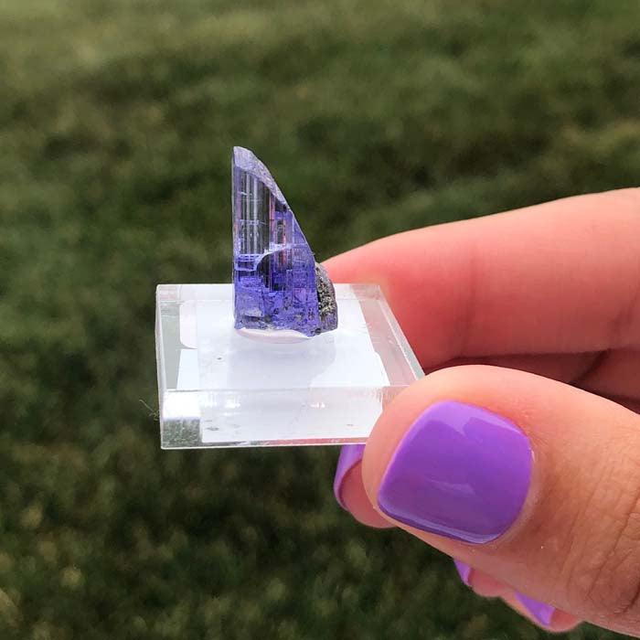 Tanzanite Crystal Specimen Raw Gemmy bi color