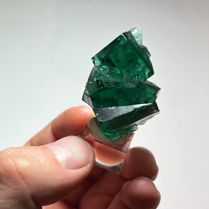 Reverse view of deep green Rogerley fluorite displaying layered cubic crystal growth and distinct geometric faces.