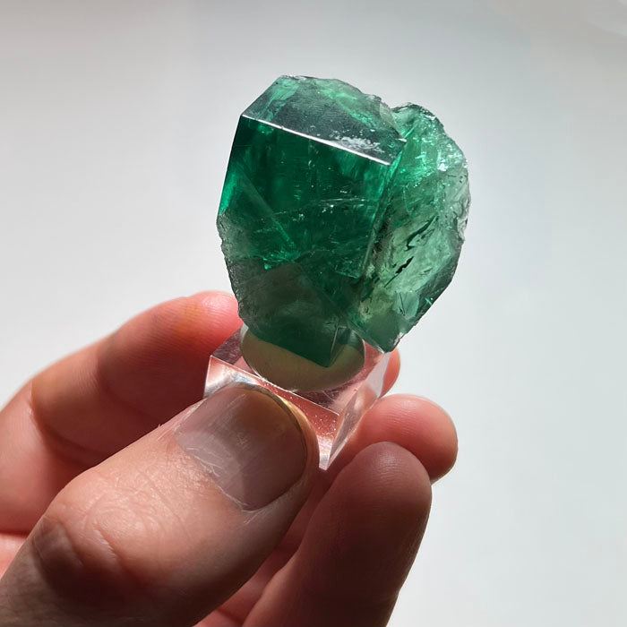 Natural Rogerley fluorite specimen from England showing two intergrown green cubic crystals with beautiful internal clarity.