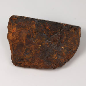 Muonionalusta Meteorite Specimen