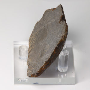 Meteorite Specimen from Sweden