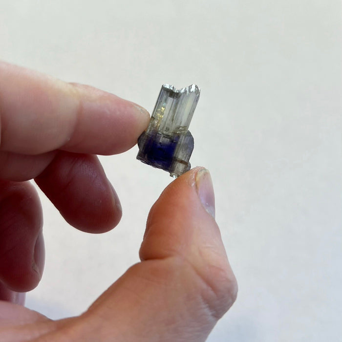 Bicolor Tanzanite Crystal Specimen