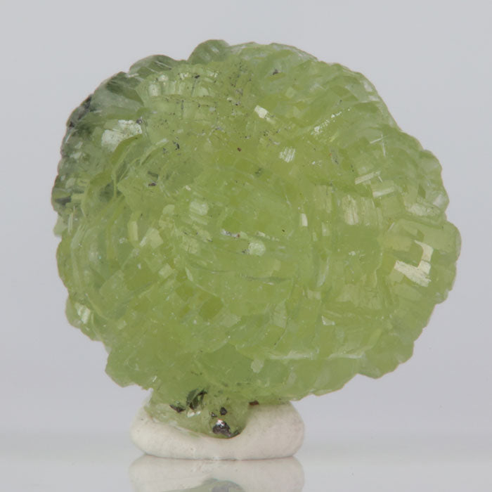 Green prehnite crystal on a white base with a light gray background
