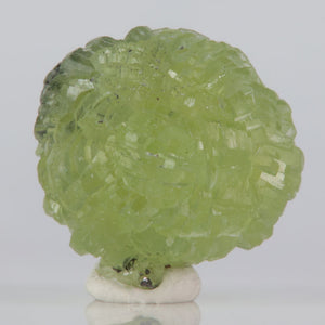 Green prehnite crystal on a white base with a light gray background