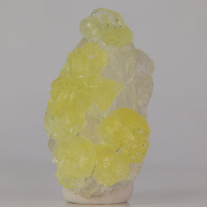 53.95ct Vibrant Yellow Prehnite on a Quartz Crystal