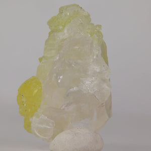 53.95ct Vibrant Yellow Prehnite on a Quartz Crystal