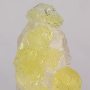 Close-up of a crystal with yellow prehnite crystals and clear quartz sections on a gray background