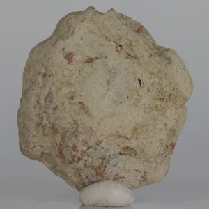 Large Face Ethiopian Opal Specimen – 4.16g