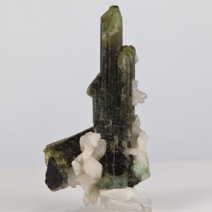 Tanzanian Tourmaline Crystal Cluster