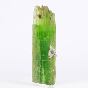 Lime Green Tremolite Crystal Specimen from Tanzania