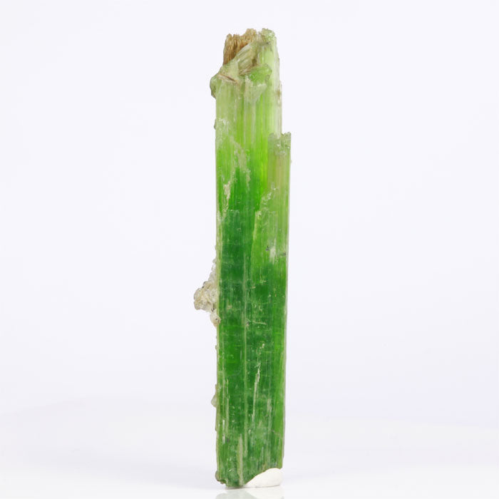 Big Green tremolite crystal specimen