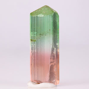 Raw tricolor watermelon tourmaline crystal mineral specimen