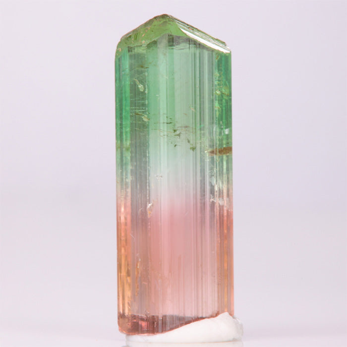 Tricolor Congo Tourmaline Crystal Specimen