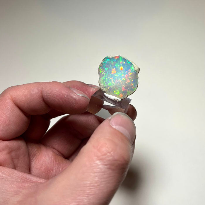 Ethiopian opal specimen Welo large face play of color