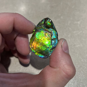 Multicolor Ammolite mineral specimen