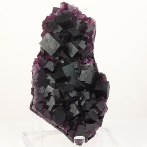 dark purple fluorite crystal cluster from Anhui China with sharp cubic crystals