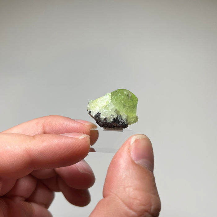 Green Diopside crystal on graphite matrix from Tanzania