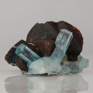 aquamarine crystal specimen with dark matrix Namibia