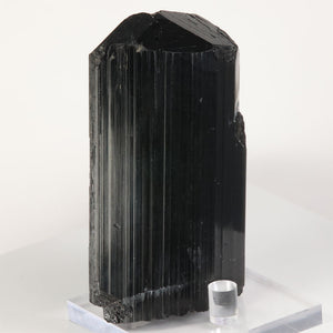 black tourmaline schorl crystal tanzania large specimen