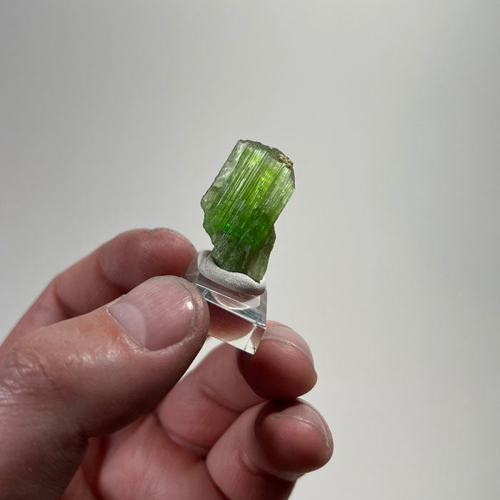 natural tremolite crystal bright green elongated mineral specimen