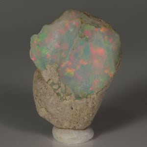 Ethiopian hydrophane opal rough with bright red and green play-of-color
