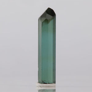 Green Tourmaline crystal prism on a white background