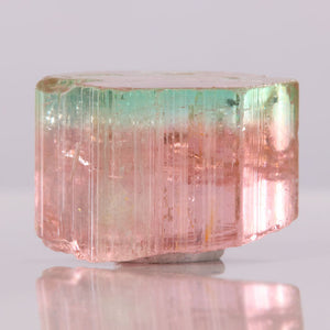 Green and pink bicolor tourmaline crystal specimen from congo