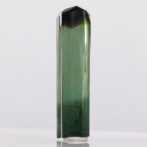 Dark bicolor brazil green tourmaline mineral specimen