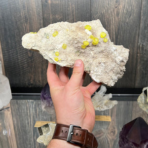 1036g Spaced Sulfur Crystals on Matrix from Bolivia