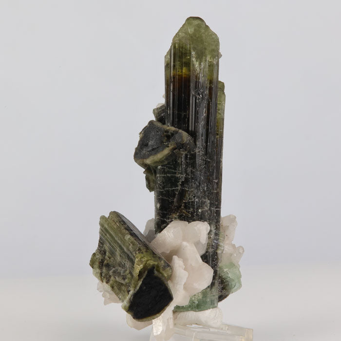 Natural Tourmaline Crystal Specimen from Tanzania