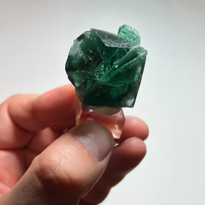 Natural daylight fluorescent Rogerley Mine fluorite from England with complex geometric crystal growth and blue-green fluorescent characteristics.