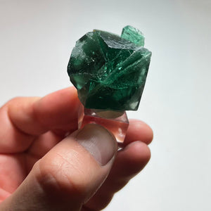Natural daylight fluorescent Rogerley Mine fluorite from England with complex geometric crystal growth and blue-green fluorescent characteristics.