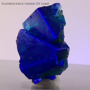 Natural daylight fluorescent fluorite from Rogerley Mine, England, featuring rich green color and brilliant blue longwave UV fluorescence.