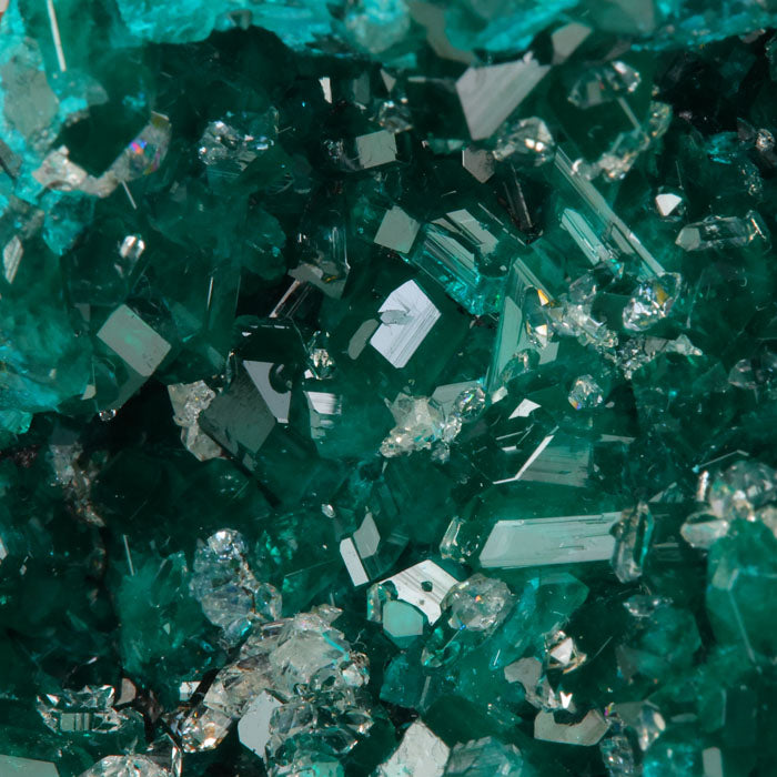sparkling dioptase crystals close up