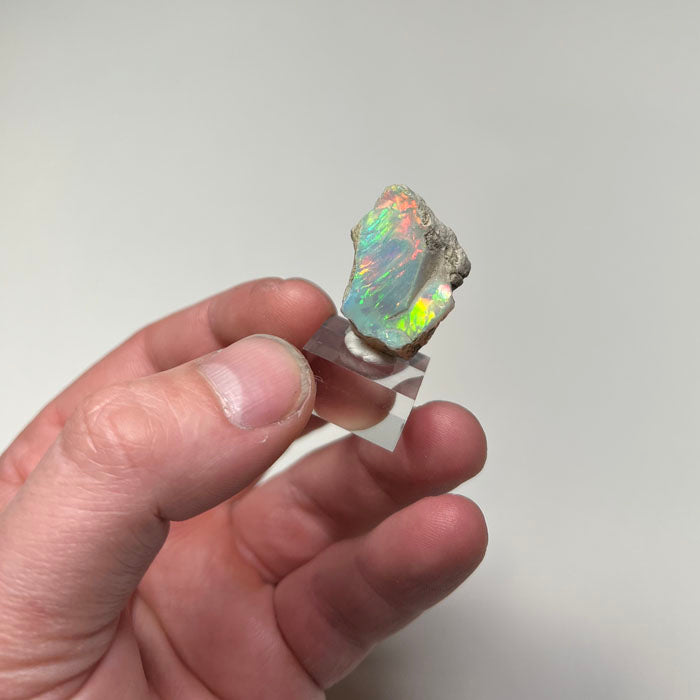 Ethiopian Welo opal with strong green red orange play of color