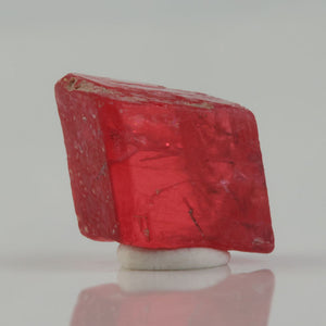 Gemmy watermelon-red Rhodonite crystal from Brazil