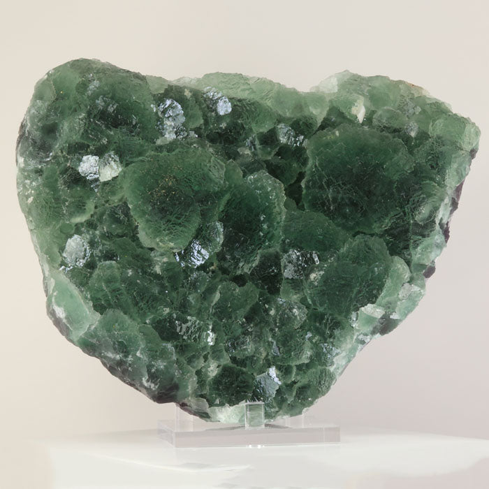 massive deep green fluorite specimen from Fujian China with forest-like crystal formations